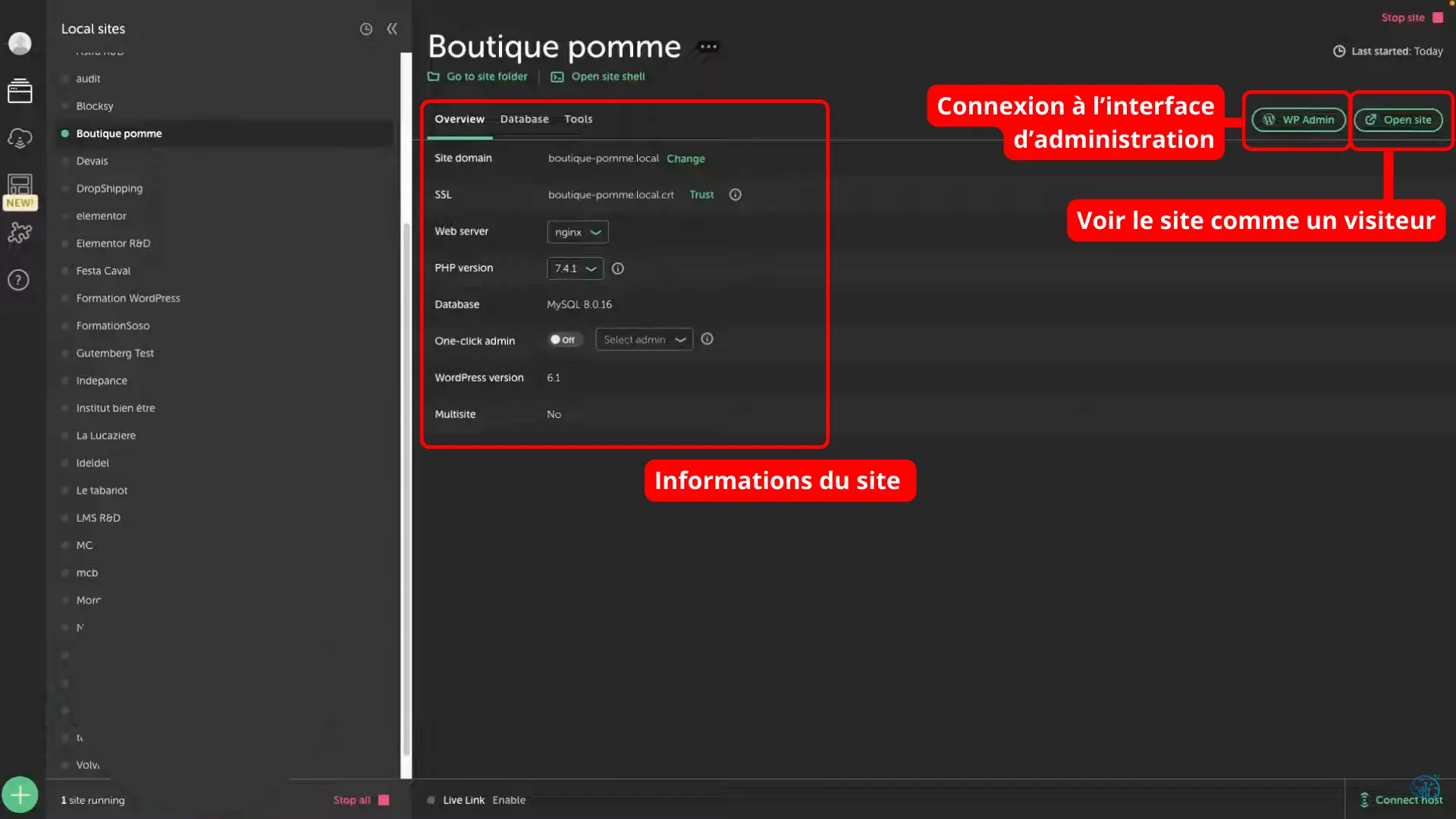 Informations du site WordPress crée sur LocalWP