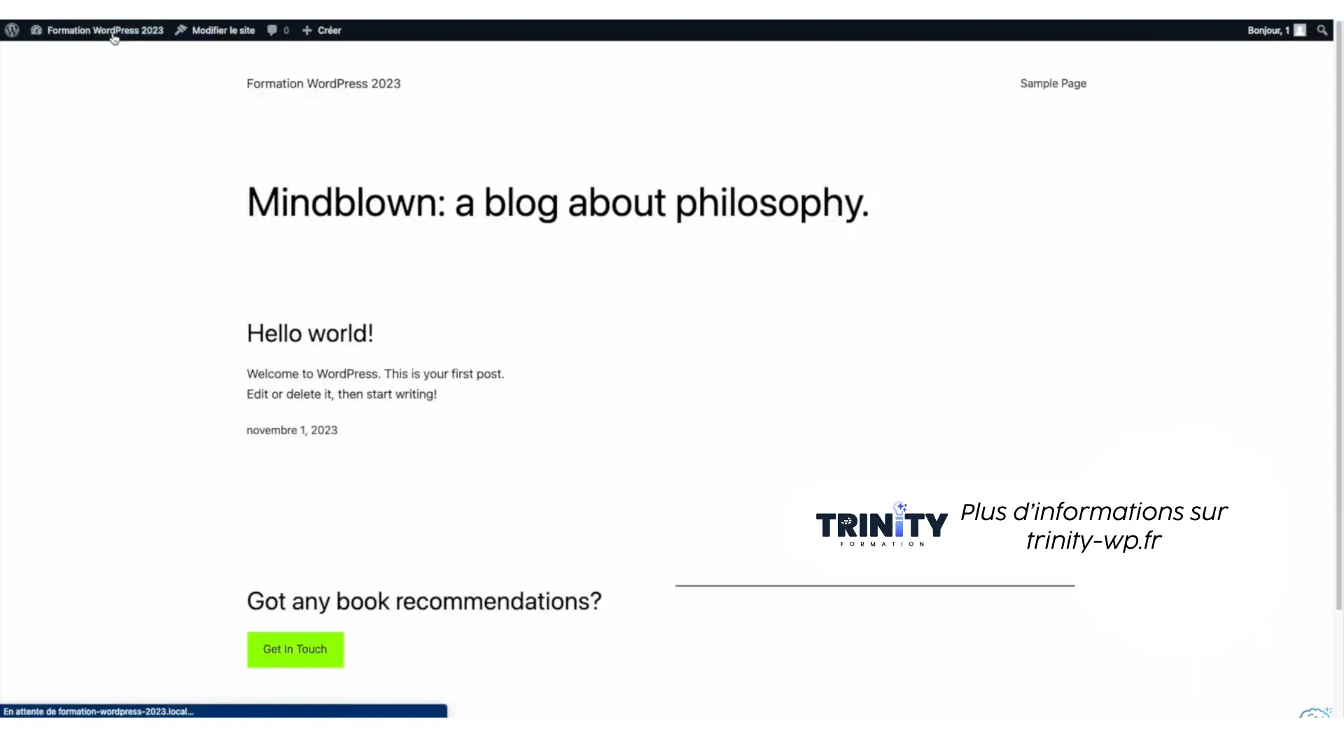 Visualisation du site WordPress