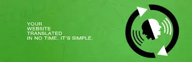 plugin de traduction wordpress Google Website Translator