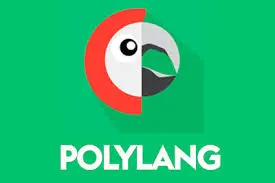 plugin de traduction wordpress polylang
